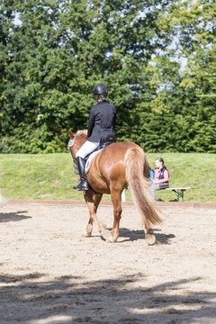 Bild 40 - Pony Akademie Turnier
